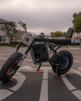 Frame Mount Sissy Bar (Z, S, R-series)