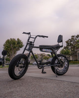 Frame Mount Sissy Bar (Z, S, R-series)