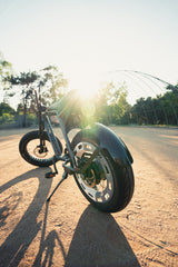 Rear Mudguard Carbon Fiber Edition