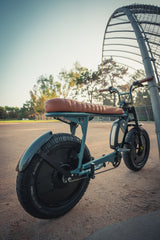 Rear Mudguard Carbon Fiber Edition