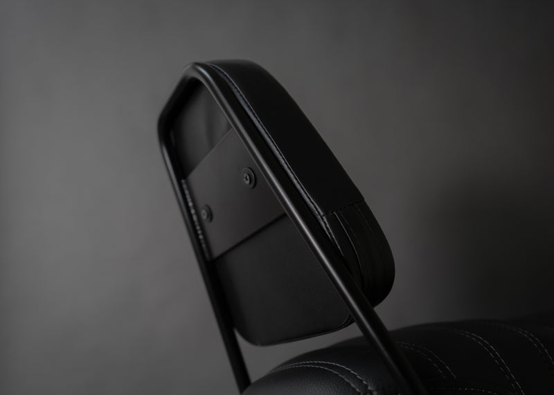 Frame Mount Sissy Bar (Z, S, R-series)
